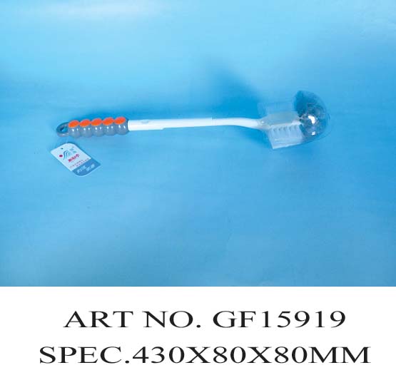 GF15919