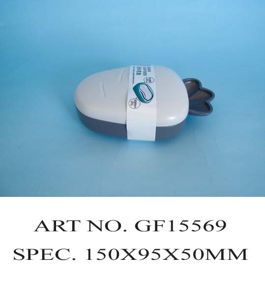 GF15569